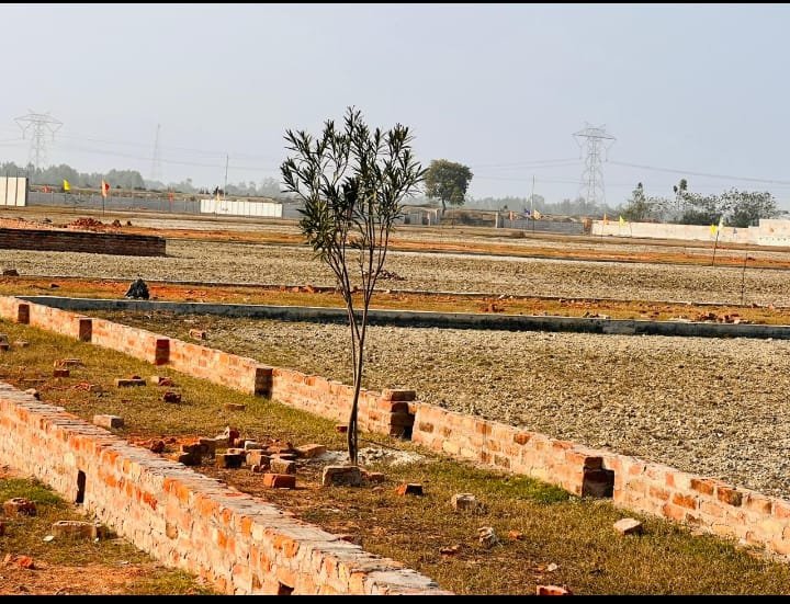 Hitech Farms: Phase 1